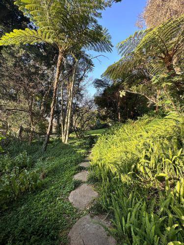 Photo of Outdoor in Constantia Kloof