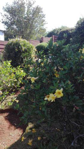 Photo of Outdoor in Graskop