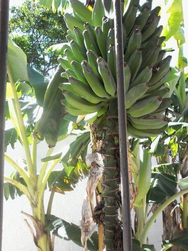 Photo of Others in Sandbaai