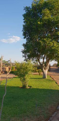 Photo of Others in Zeerust
