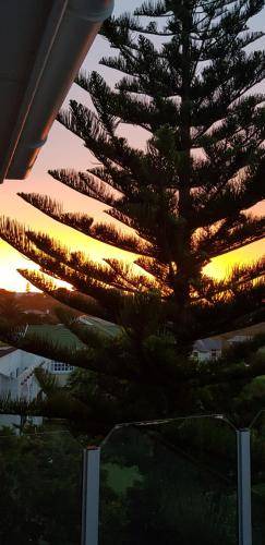 Photo of Others in Brenton-on-Sea
