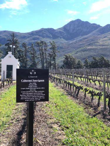 Photo of Others in Franschhoek