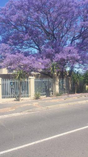 Photo of Others in Paarl