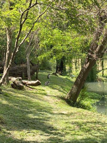 Photo of Others in Magaliesberg