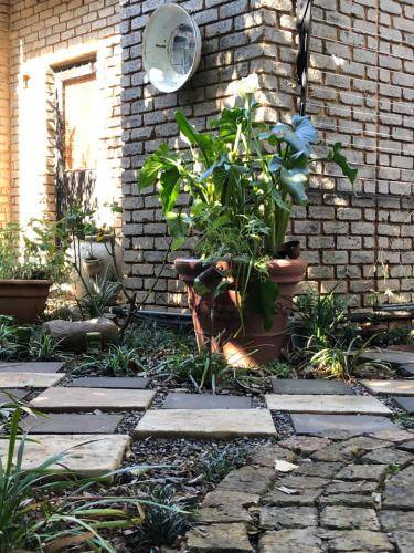 Photo of Others in Garsfontein