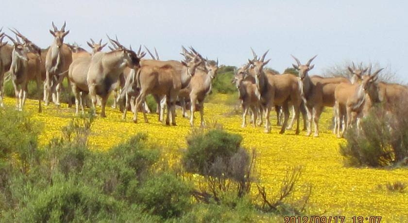 Photo of Others in Cederberg