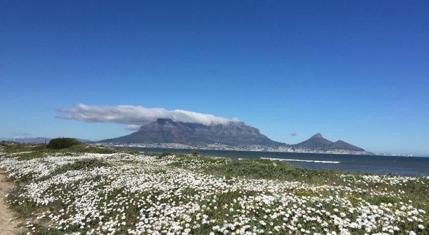 Photo of Others in Cape Town