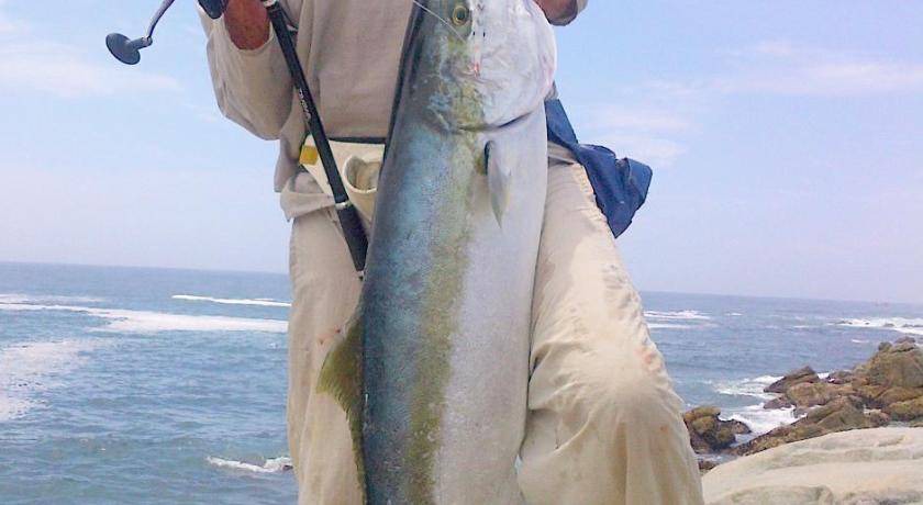 Photo of Others in Cape Saint Francis