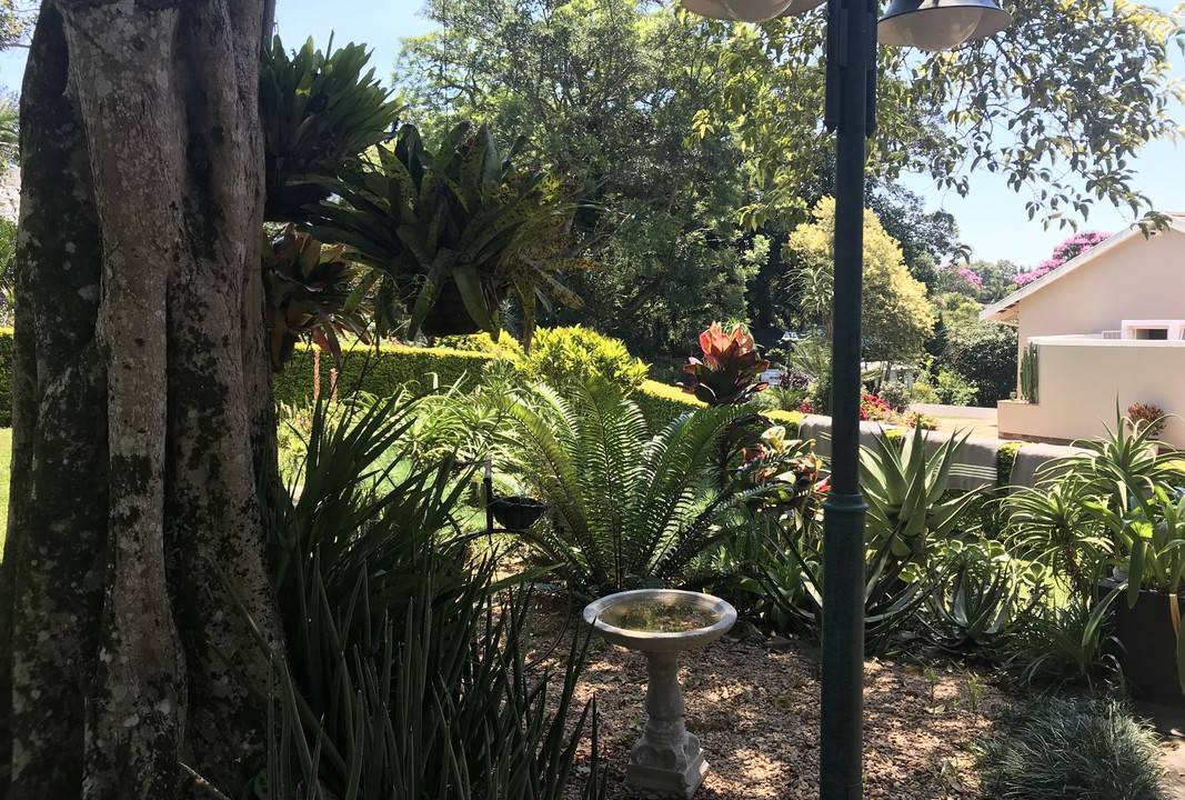 Photo of Others in Kloof