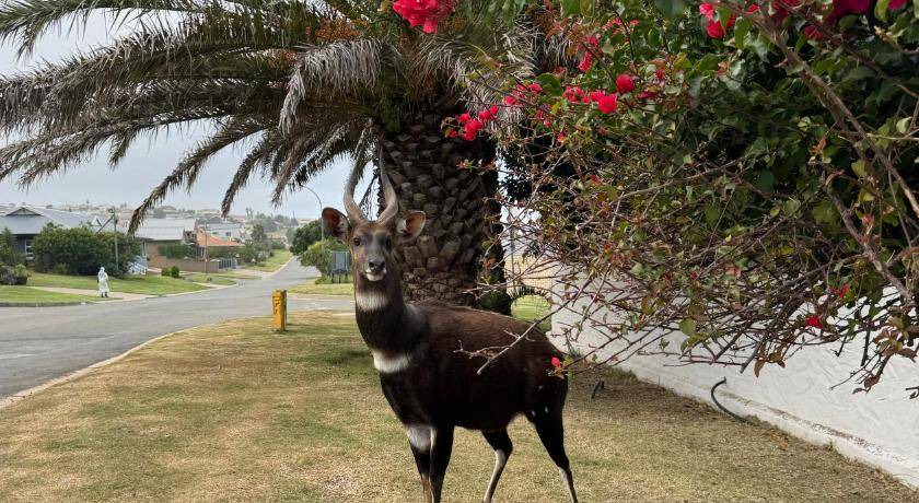Photo of Others in Dana Bay