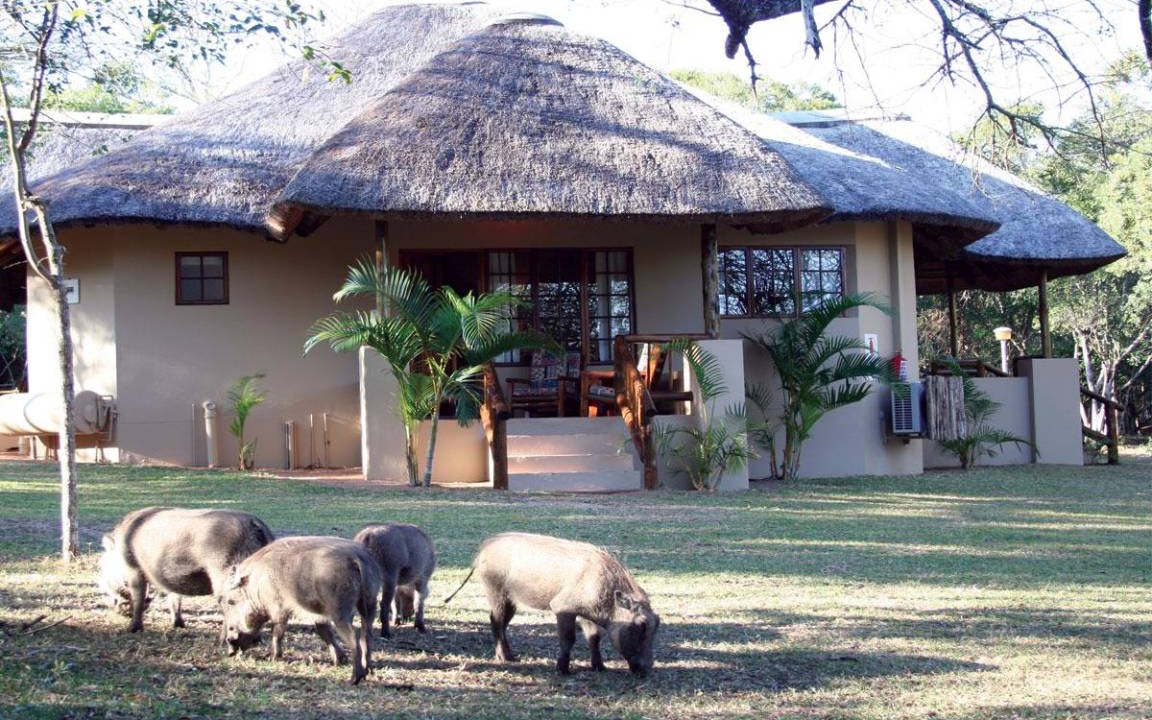 Photo of Others in Hluhluwe
