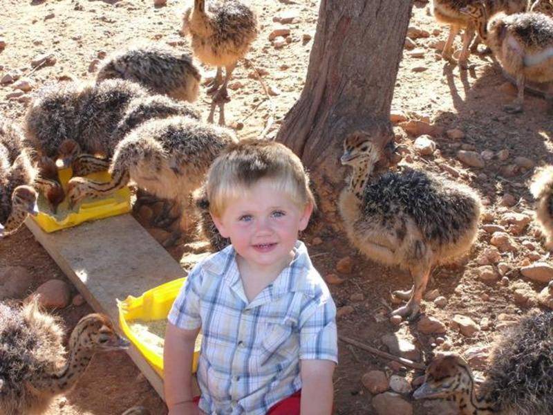 Photo of Others in Schoemanshoek