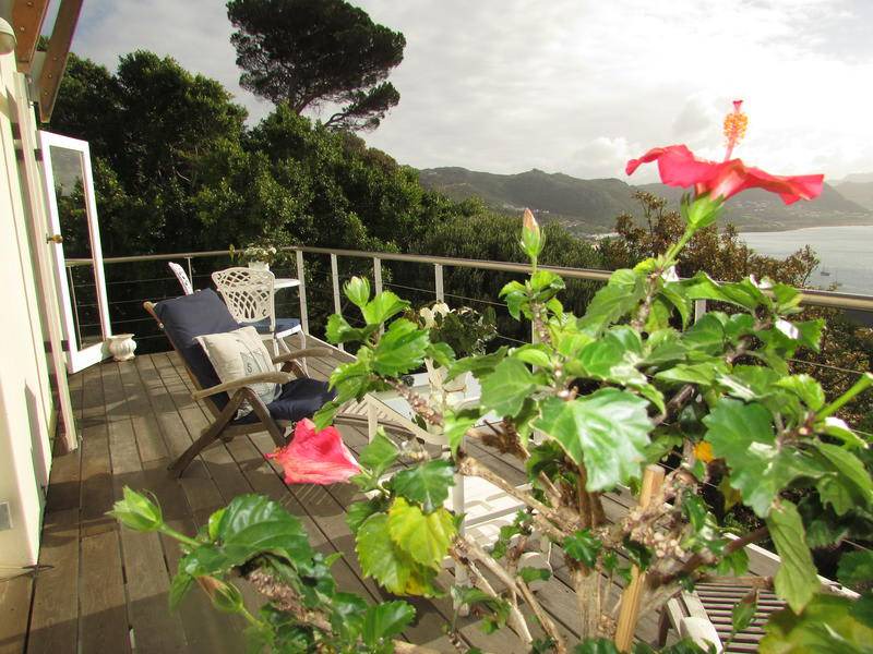 Photo of Others in Simon's Town