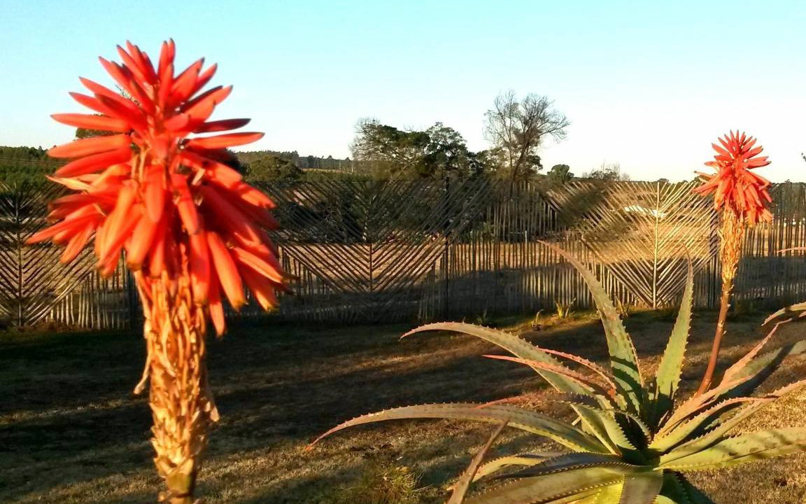 Photo of Others in Mkhondo