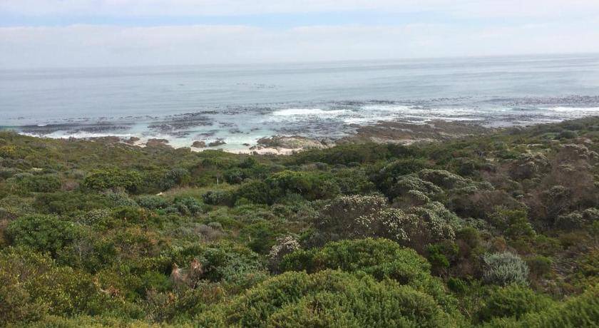 Photo of Others in Kleinbaai