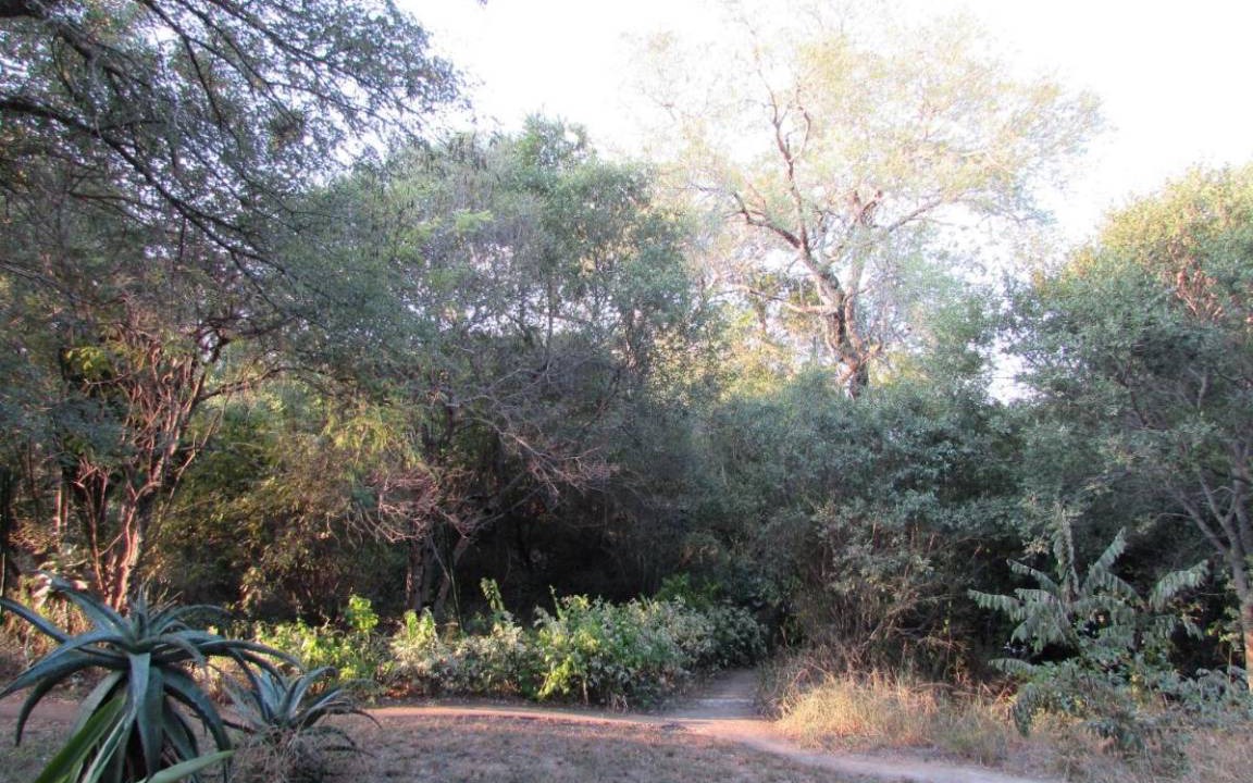 Photo of Outdoor in Thorny Bush Game Reserve