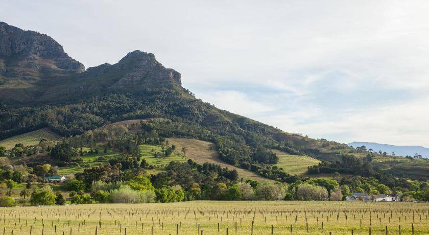 Photo of Others in Cape Winelands