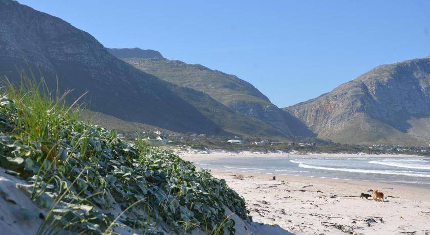 Photo of Others in Betty's Bay