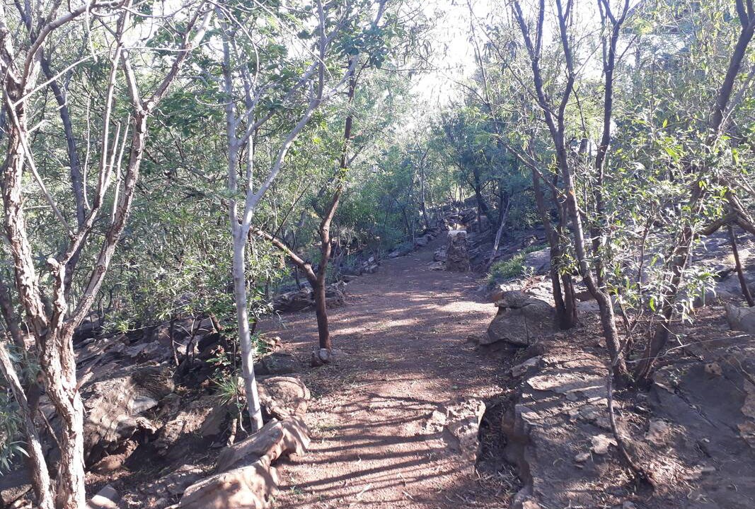 Photo of Outdoor in Wynberg
