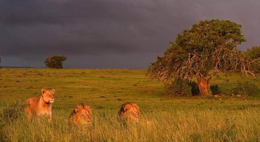 Photo of Others in Addo