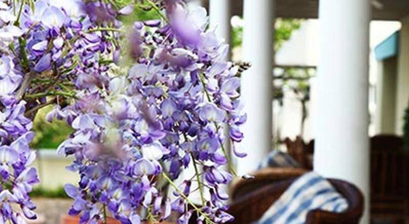 Photo of Others in Franschhoek