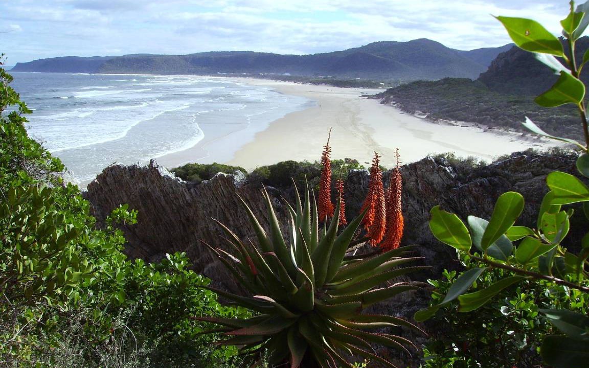 Photo of Others in Storms River