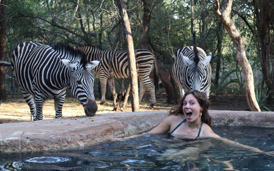 Photo of Others in Marloth Park