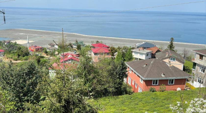 Photo of Others in Pazar