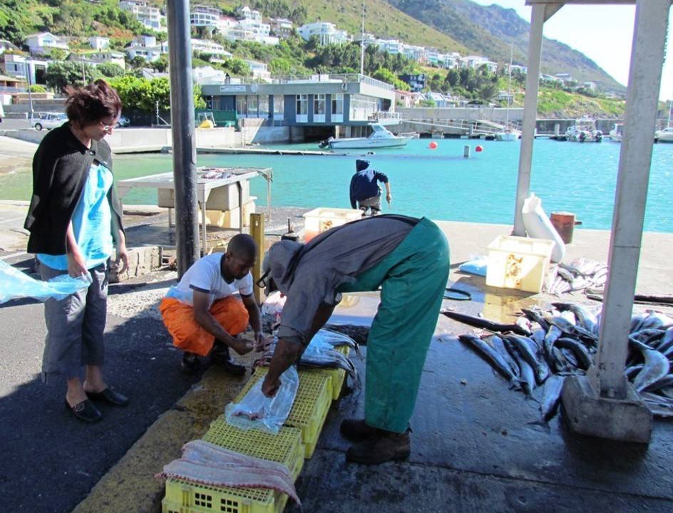 Photo of Others in Gordon's Bay