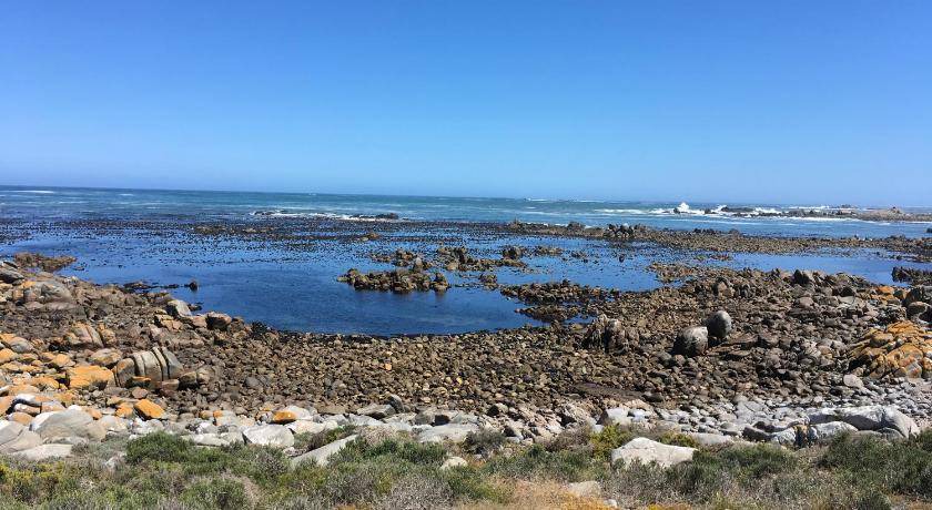 Photo of Others in Jacobs Bay