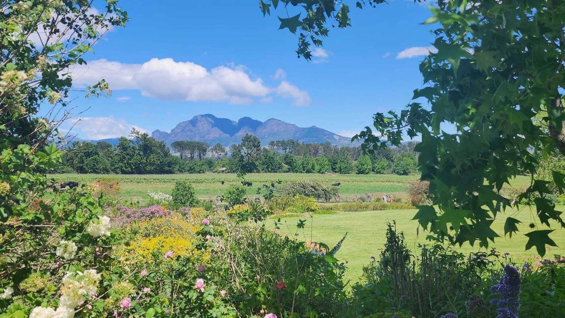 Photo of Outdoor in Paarl