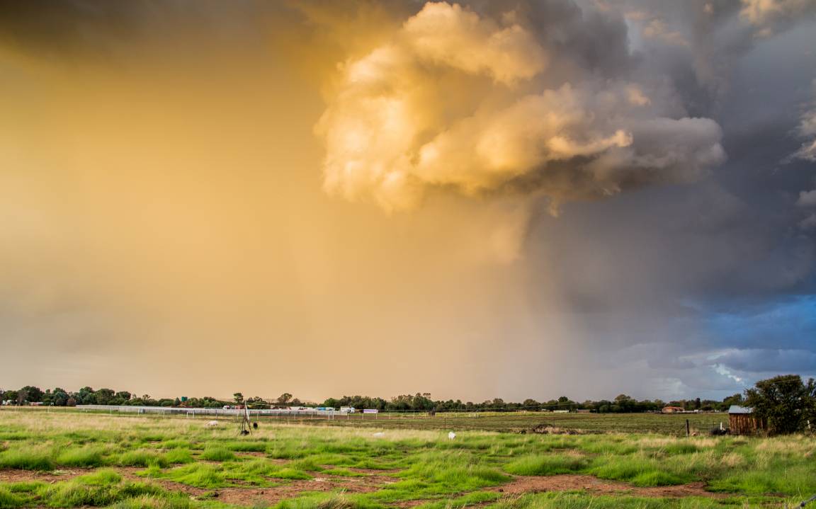 Photo of Others in Bloemfontein