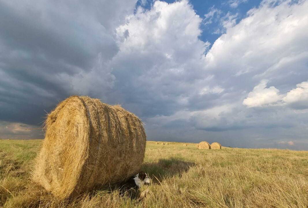 Photo of Others in Govan Mbeki