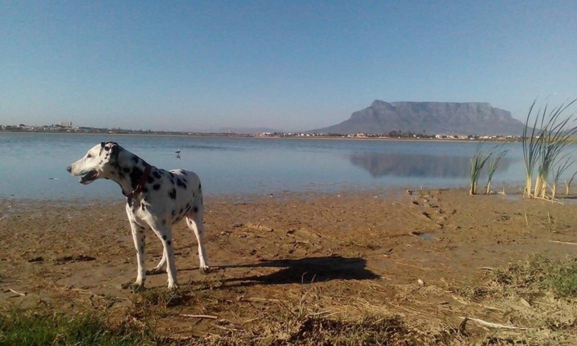 Photo of Others in Flamingo Vlei
