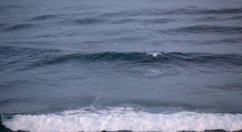 Photo of Others in Wilderness Beach