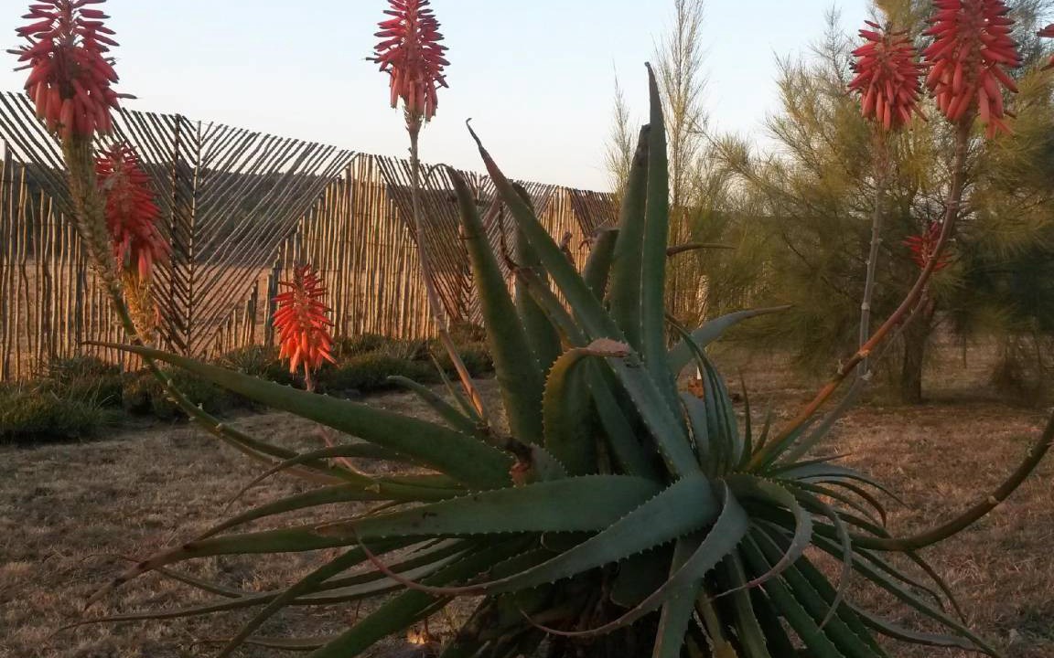 Photo of Others in Mkhondo