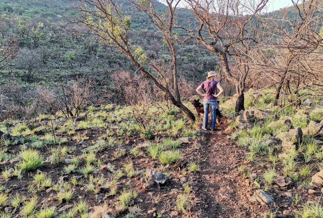 Photo of Others in Wynberg