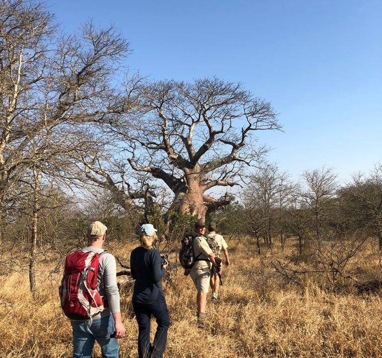 Photo of Others in Kruger National Park