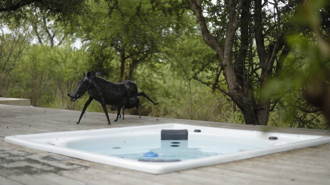 Photo of Others in Hoedspruit