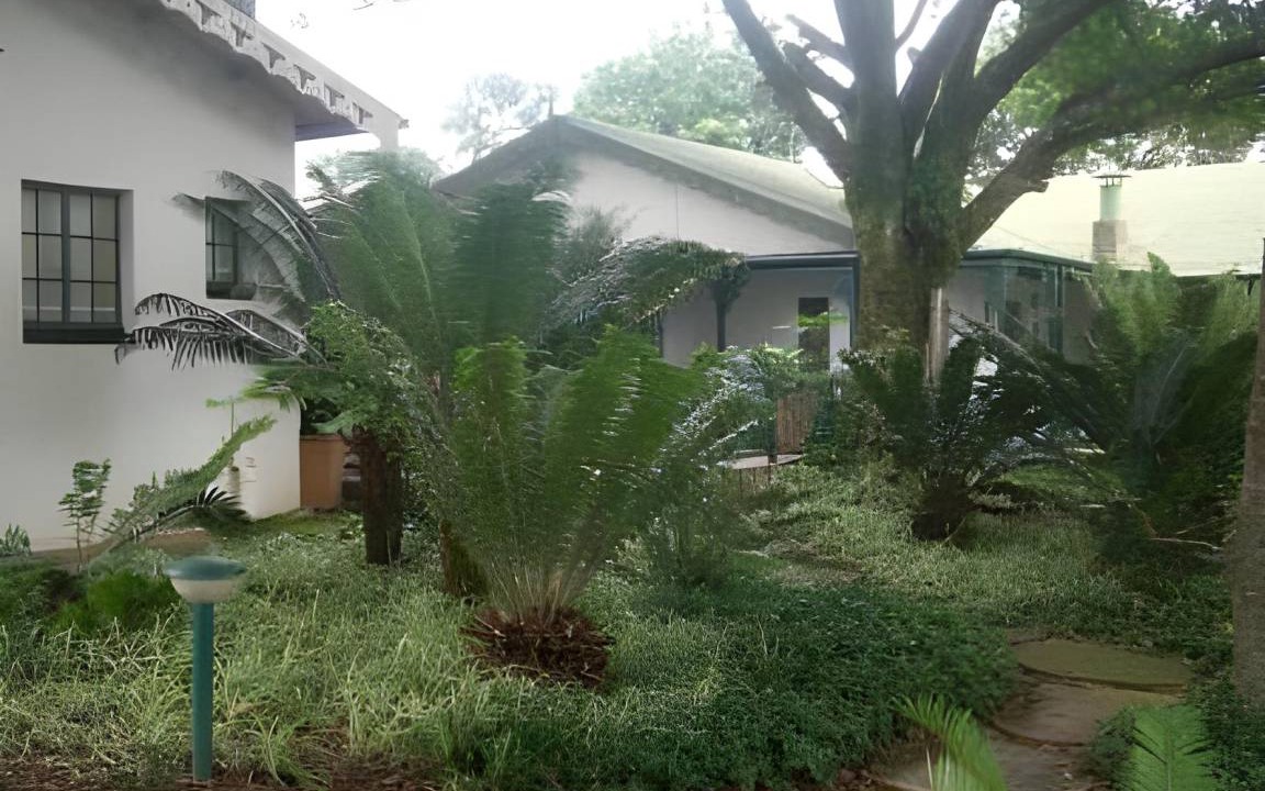 Photo of Others in Tzaneen
