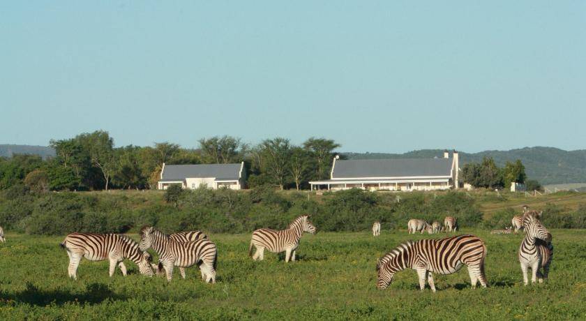 Photo of Others in Addo