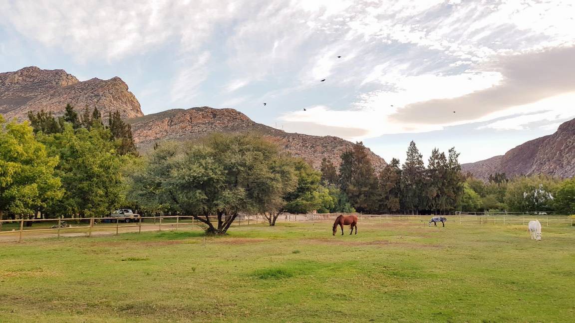 Photo of Others in Montagu