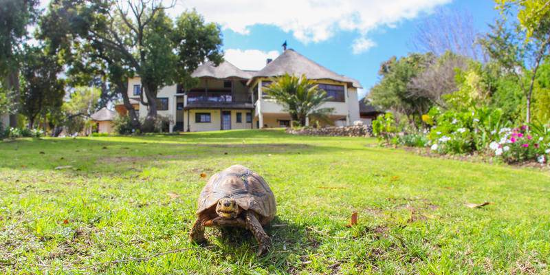Photo of Others in Somerset West