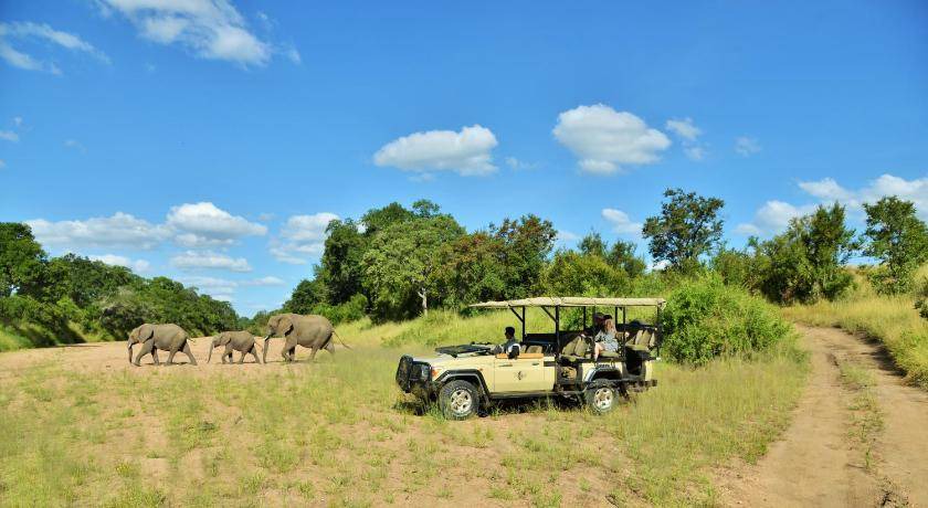 Photo of Others in Kruger National Park