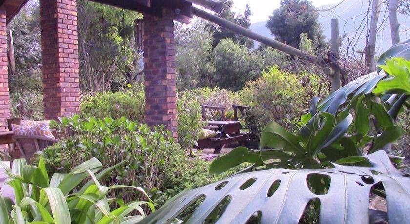 Photo of Others in Storms River