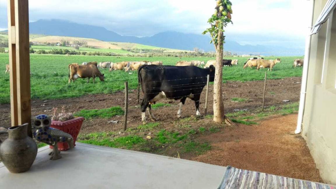 Photo of Others in Riversdale