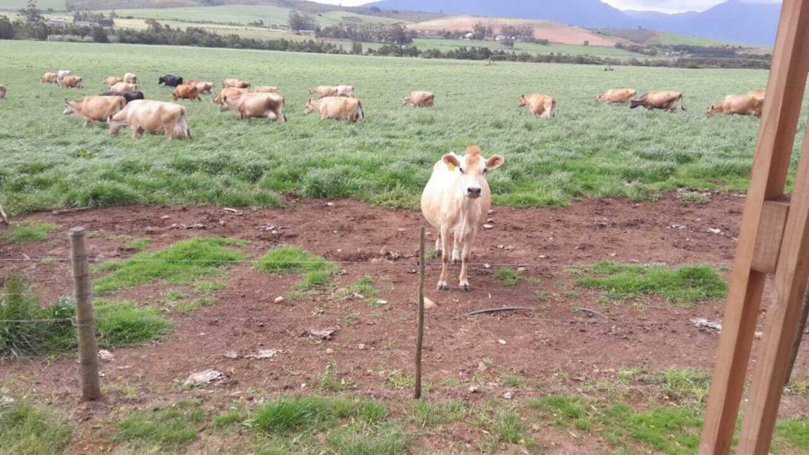 Photo of Others in Riversdale