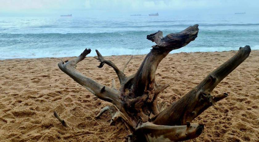 Photo of Others in Umhlanga