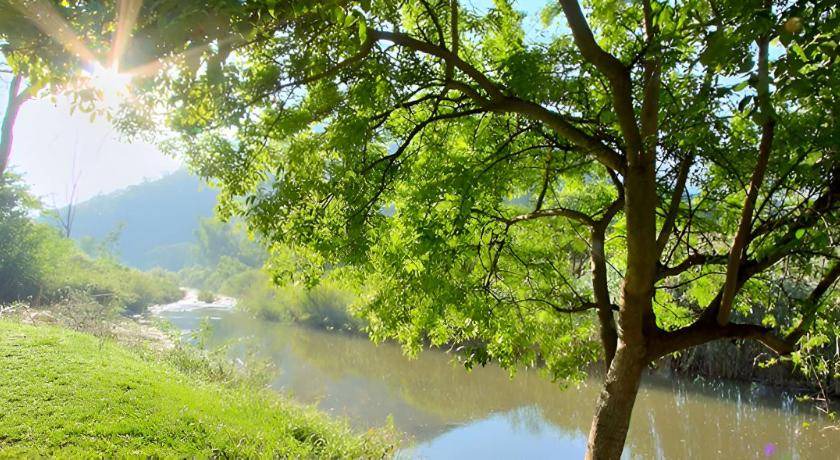 Photo of Others in Waterval Boven