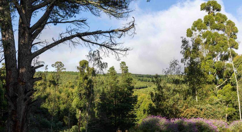 Photo of Others in Hogsback